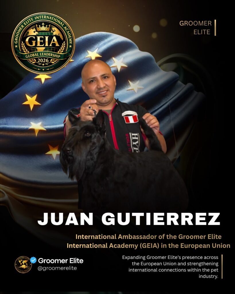 WhatsApp Image 2026-08-10 at 21.26.58 (3)